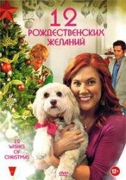 12 Рождественских желаний (2011)