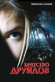 Братство друидов (2002)