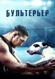 Бультерьер