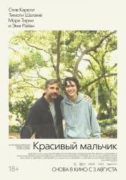 Красивый мальчик (2018)