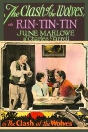 Нападение волков (Стычка волков) (1925)