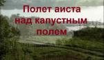 Полет аиста над капустным полем