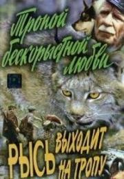 Тропой бескорыстной любви, Рысь выходит на тропу