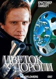 Цветок у дороги (1994)