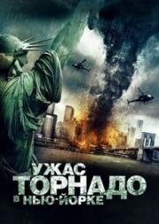 Ужас торнадо в Нью-Йорке (2008)