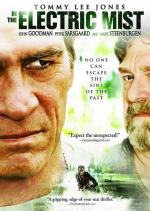 В электрическом тумане (2009)