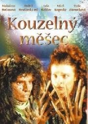 Волшебная книга (Волшебный кошелек) (1996)