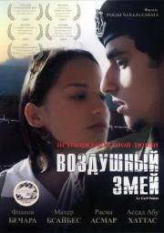 Воздушный змей (2003)