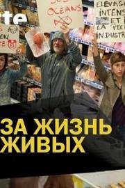 За жизнь животных (2015)