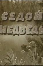 Седой медведь (1988)