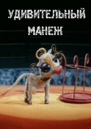 Удивительный манеж (1979)