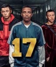 17 (2018)