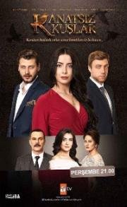 Бескрылые птицы (2017)