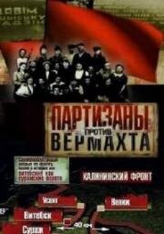 Партизаны против Вермахта (2010)