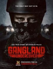 Под прикрытием Gangland Undercover (2015)