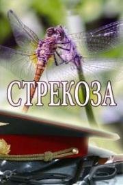 Стрекоза